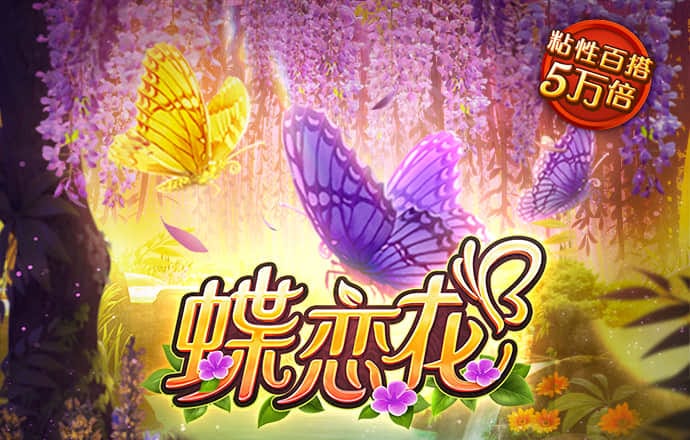 haha体育
